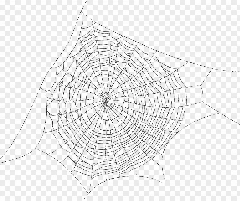 Spider Web Painted Cartoon Silk Clip Art PNG