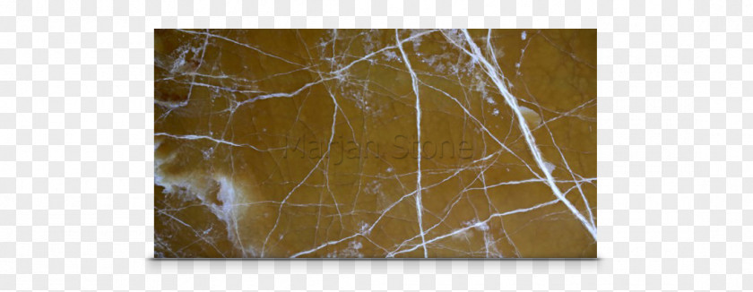 Amber Stone Painting Branching PNG