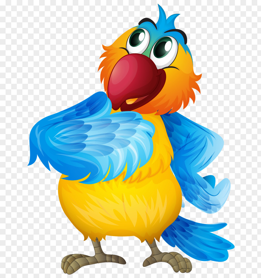Cartoon Hand Colored Beautiful Parrot Bird Clip Art PNG