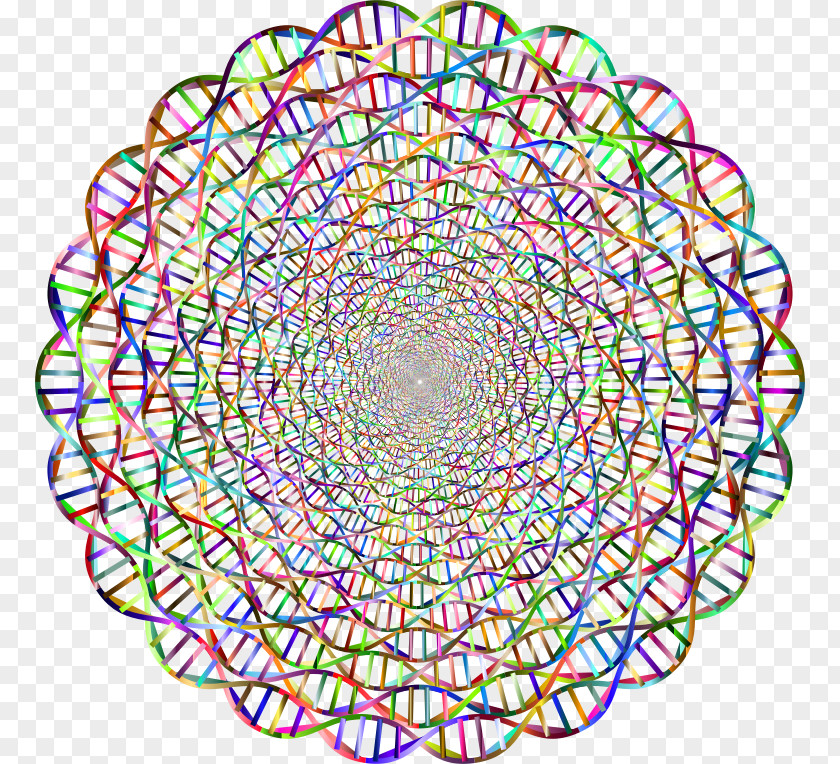 Circle The Double Helix: A Personal Account Of Discovery Structure DNA Nucleic Acid Helix PNG