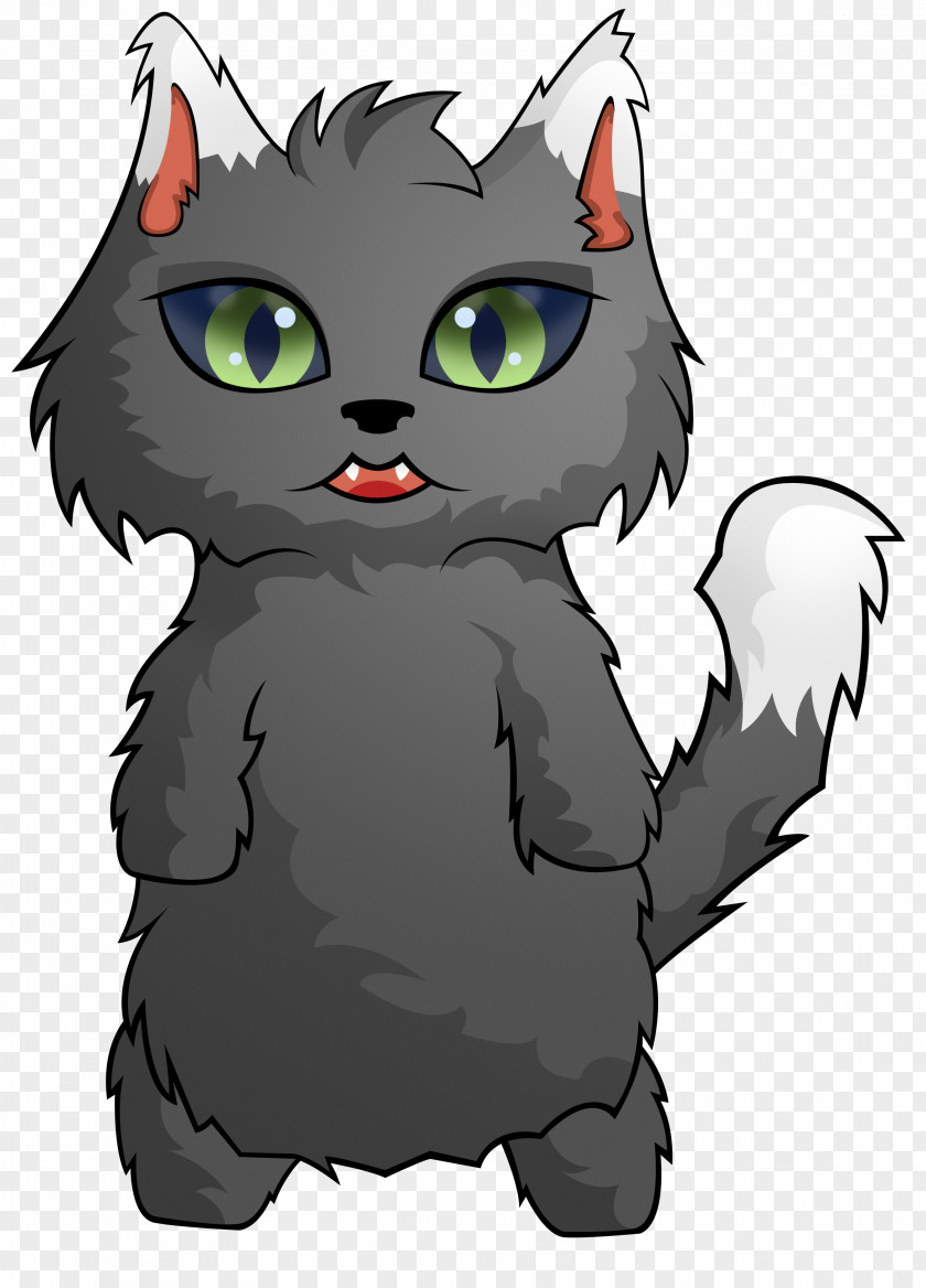 Kitten Whiskers Black Cat Tabby Domestic Short-haired PNG
