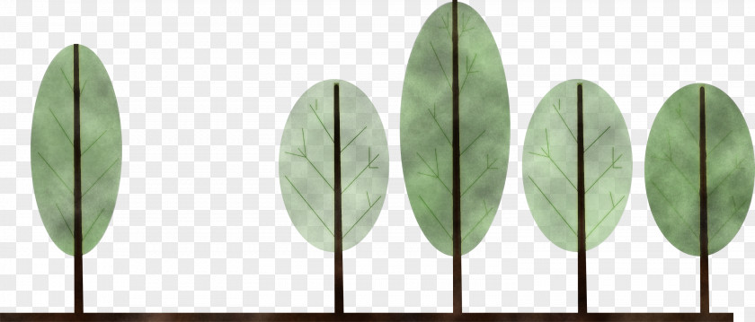 Leaf Plant Structure Science Plants Biology PNG