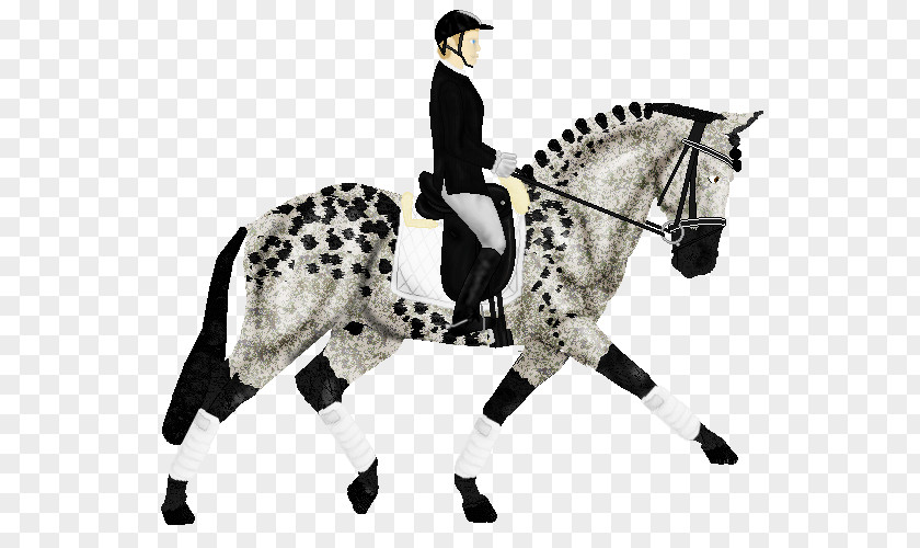 Mustang Stallion English Riding Rein Equestrian PNG