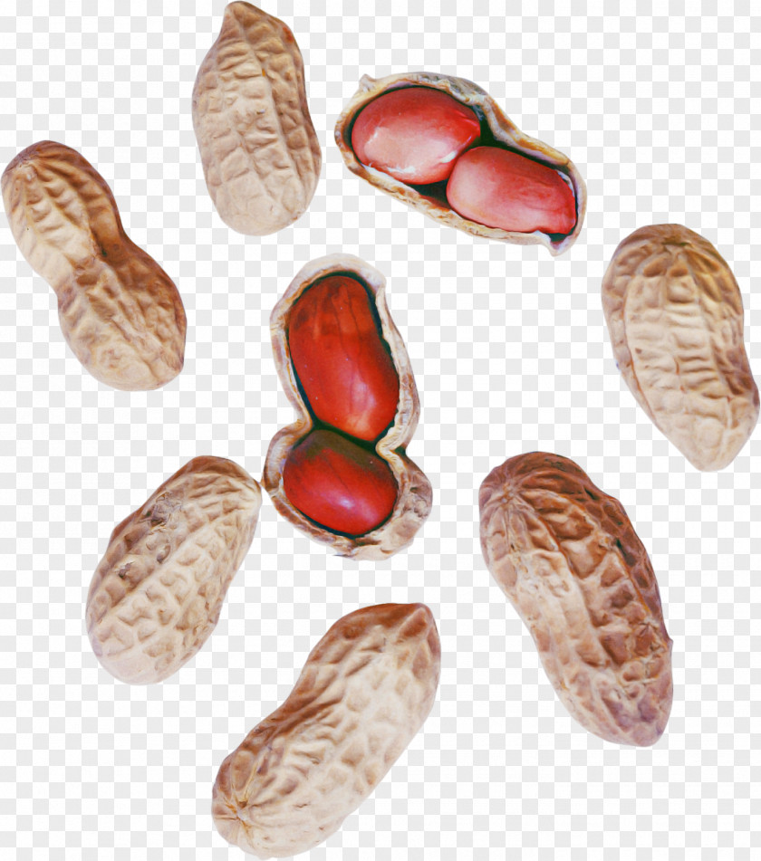 Peanut Commodity Superfood PNG