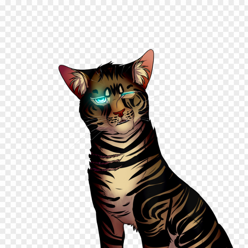 Shiba Inu Drawing Toyger Bengal Cat Whiskers Tabby Domestic Short-haired PNG