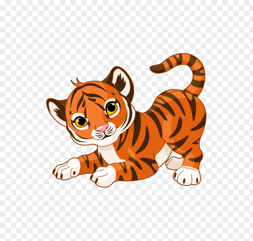 Tiger Cat Vector Graphics Stock Photography Illustration PNG