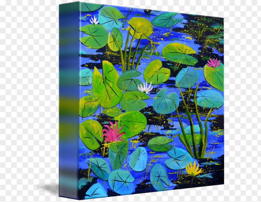 Water Lilies Aquatic Plants Aquariums Painting Wildflower PNG