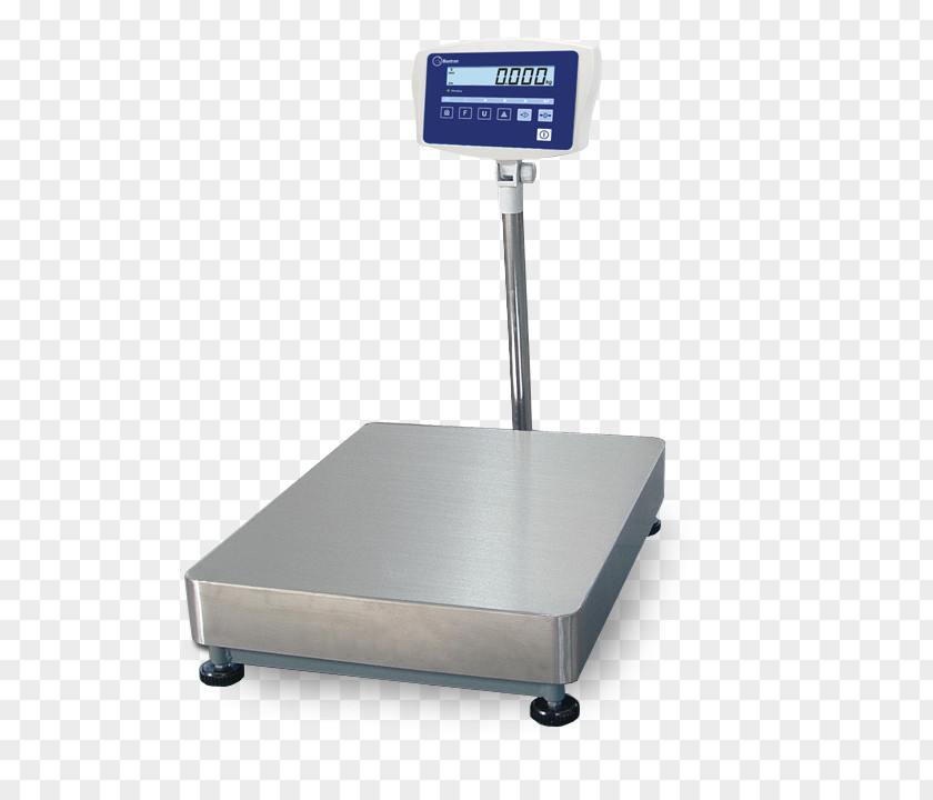 Bascula Measuring Scales Bascule Computing Platform Stainless Steel SPMS PNG
