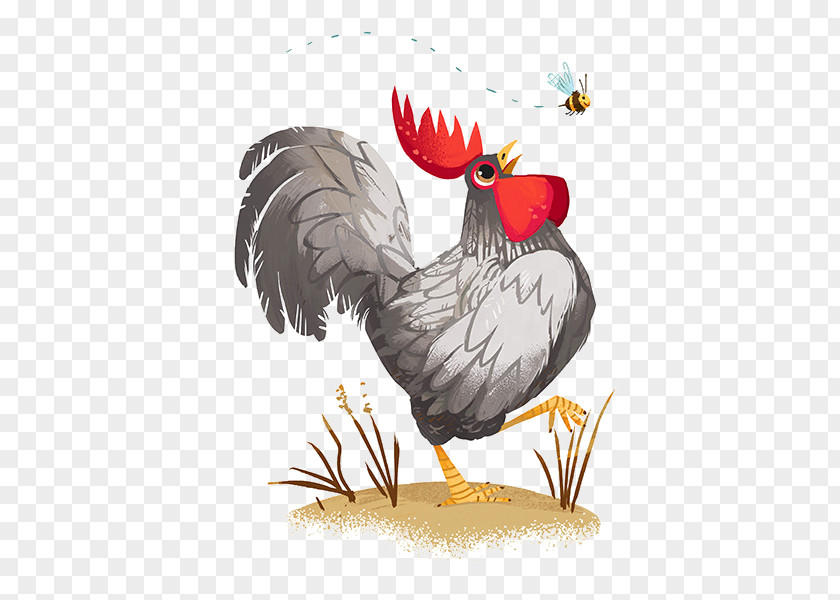 Chicken Plymouth Rock Rooster Coop Illustration PNG