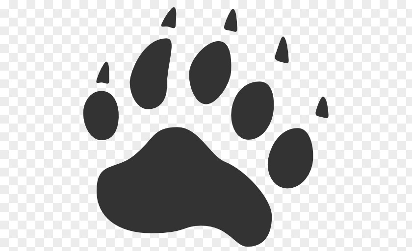 Footprint American Black Bear Cat Paw PNG