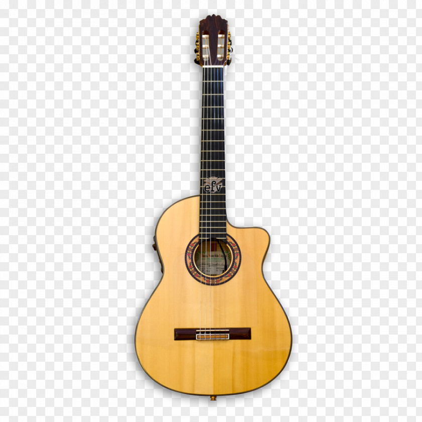 Guitar Twelve-string Classical Acoustic Musical Instruments PNG