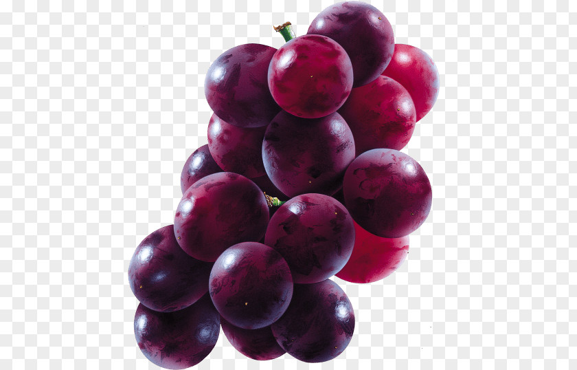 Juice Common Grape Vine Concord Clip Art PNG
