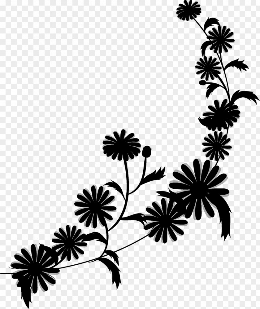 Parsley Family Herbaceous Plant Twig Background PNG