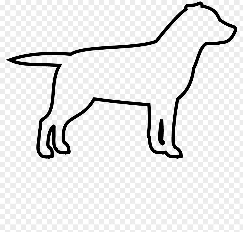 Platinum Outline French Bulldog Puppy Labrador Retriever Maltese Dog PNG