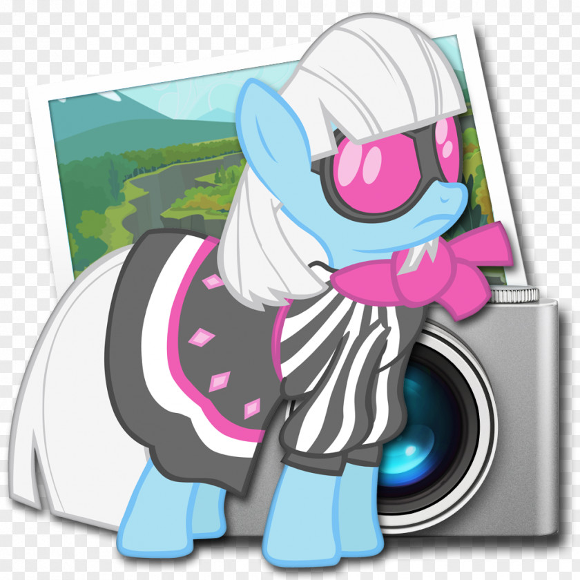 Preference Twilight Sparkle Rarity Pony Rainbow Dash Princess Luna PNG