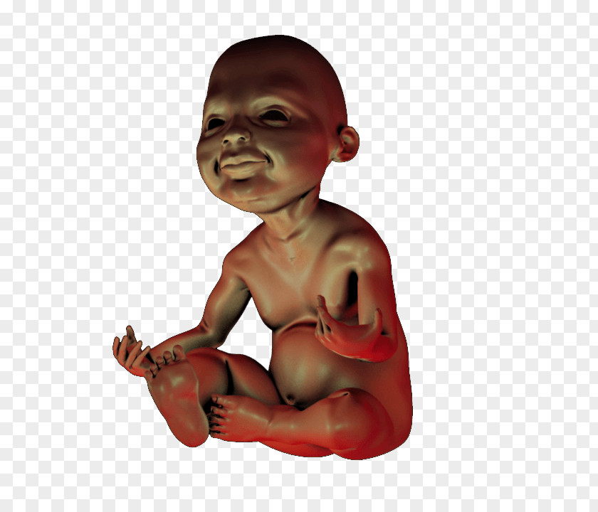 Prin Ready Toddler Infant Printing Child Fetus PNG