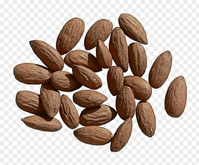 Seed Nuts Seeds Almond Plant Superfood Food & PNG