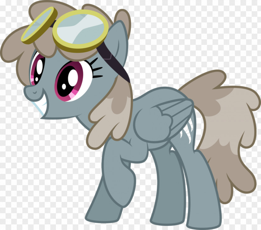 Tornado My Little Pony: Friendship Is Magic Fandom Dust Devil PNG