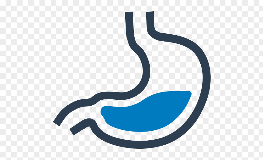 Digestion Gastroenterology PNG