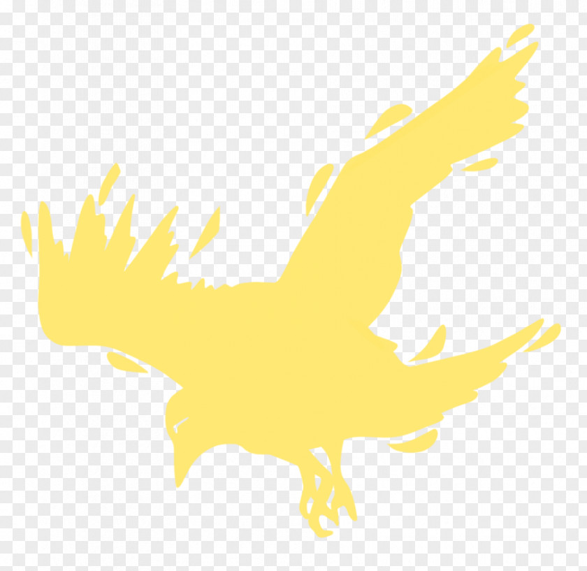 Eagle Beak Bird Clip Art PNG