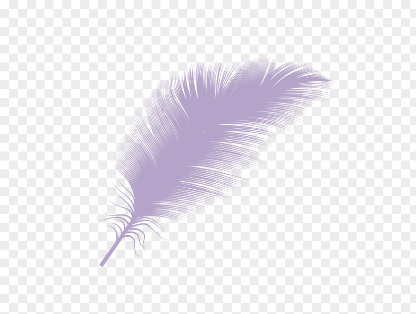 Feather Down Goose Clip Art PNG