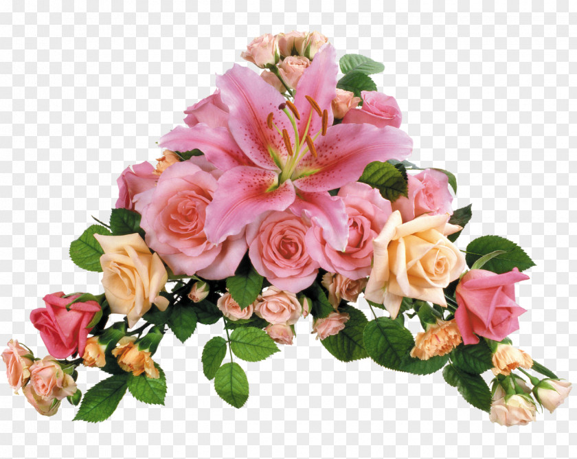 FLORES Flower Rose Lilium Desktop Wallpaper Transvaal Daisy PNG