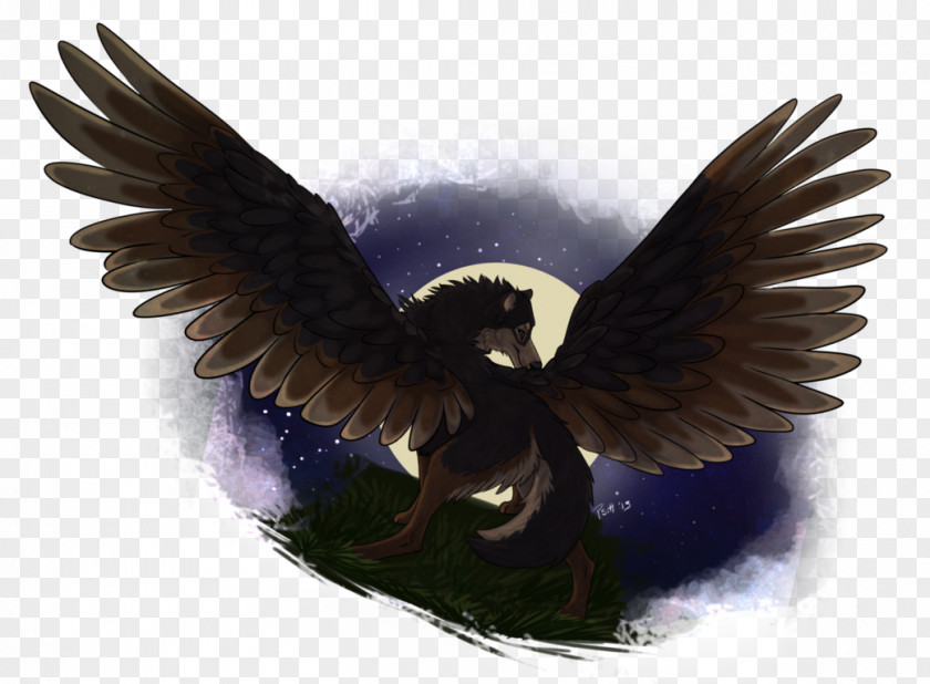 Fly Away Eagle Beak Feather Angel M PNG