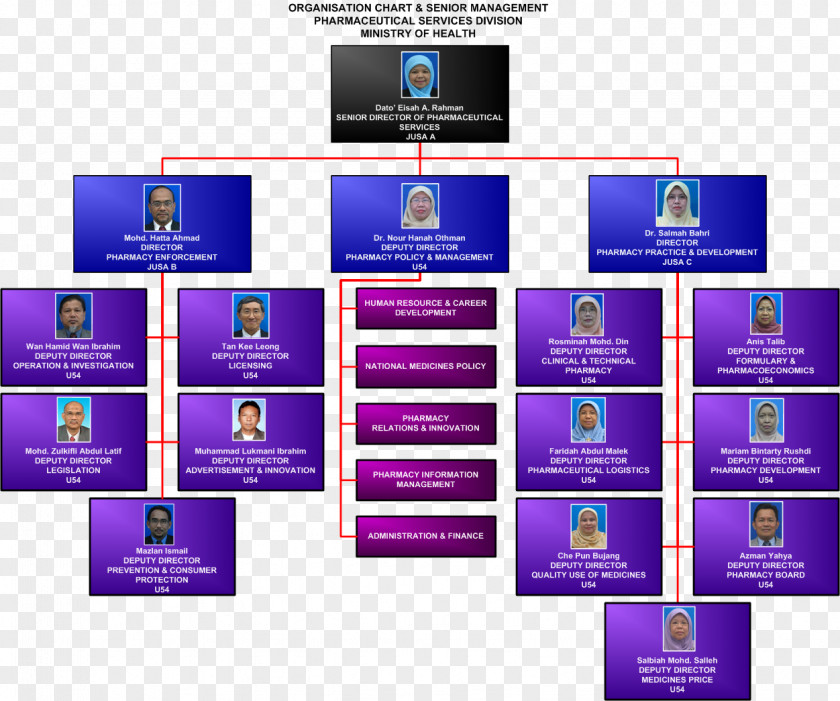 Human Organization Organizational Chart Structure Company Management PNG