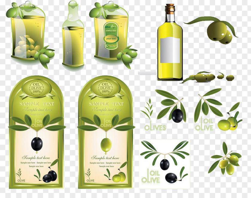 Olive Oil Labels Label PNG