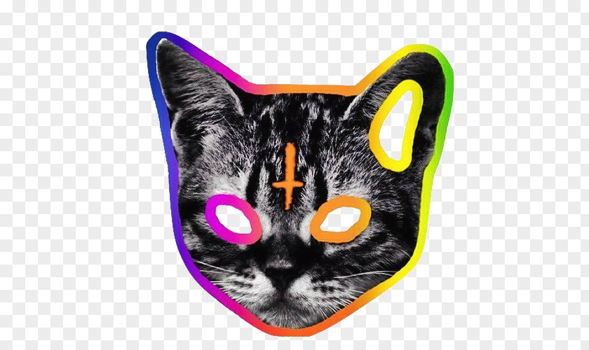 T-shirt Odd Future Camp Flog Gnaw Carnival Tron Cat PNG