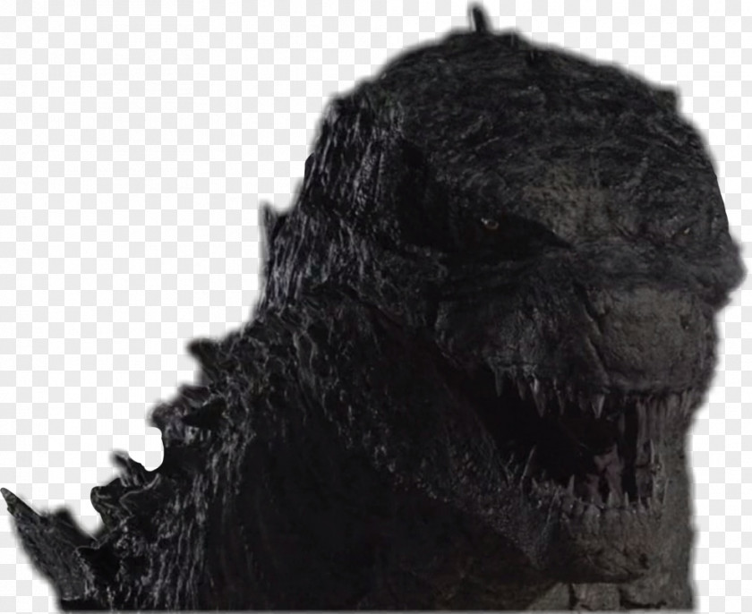 Godzilla King Kong Ghidorah DeviantArt PNG