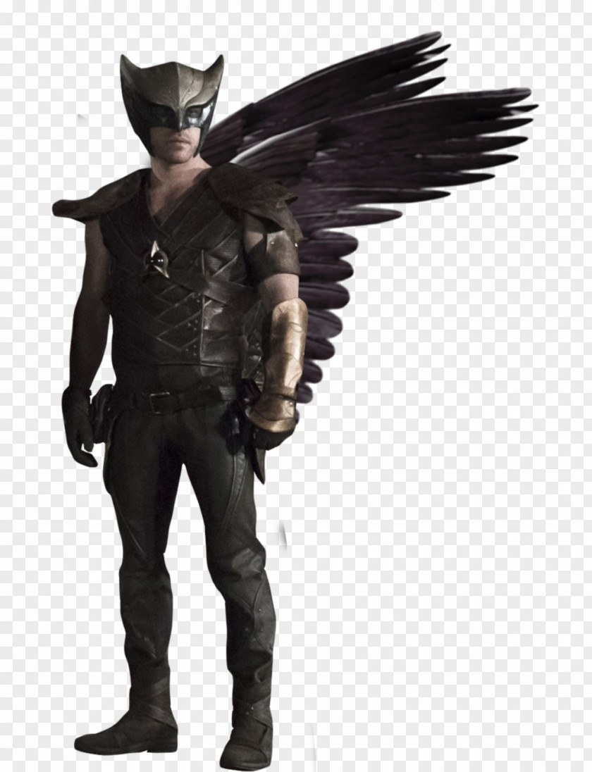 Hawkman Hawkgirl Green Arrow Atom Rip Hunter PNG