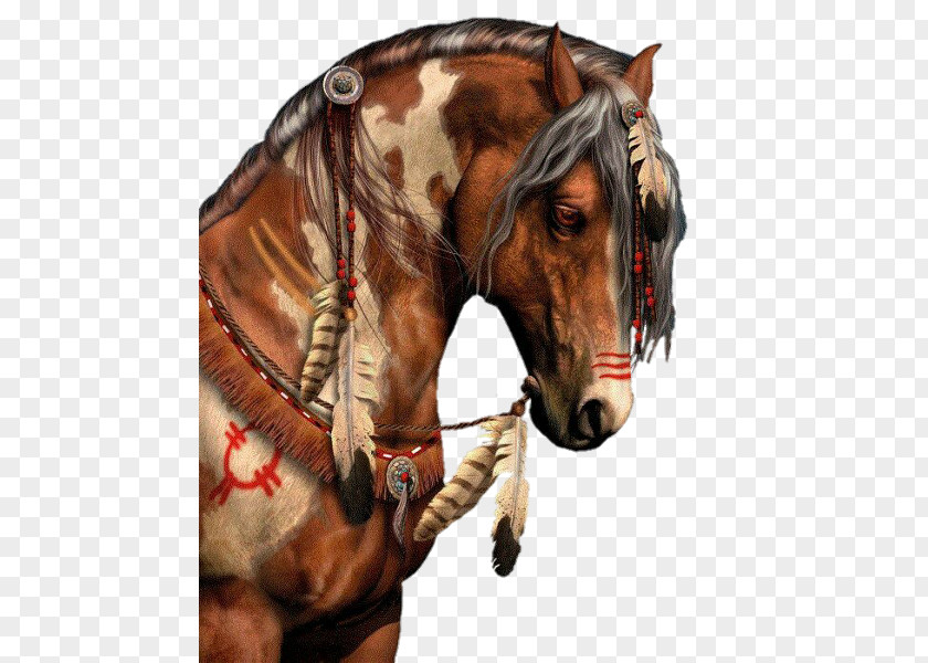 Mustang American Paint Horse Indian Wars Pony PNG