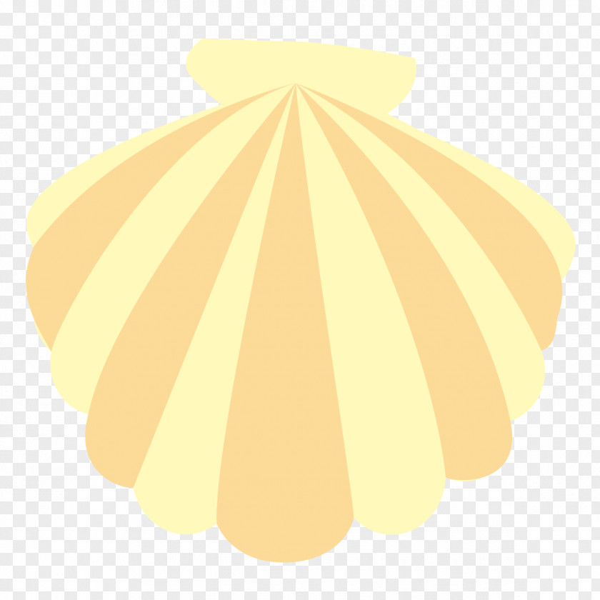 Seashell Yellow Illustration Color Green PNG