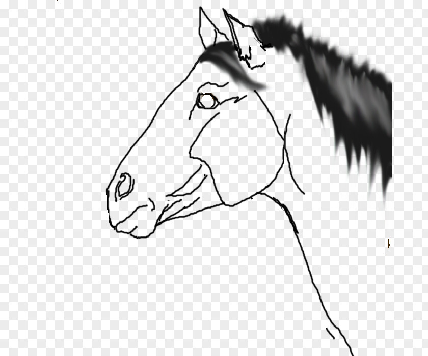 A Horse Template Mane Mustang Pony Appaloosa Halter PNG
