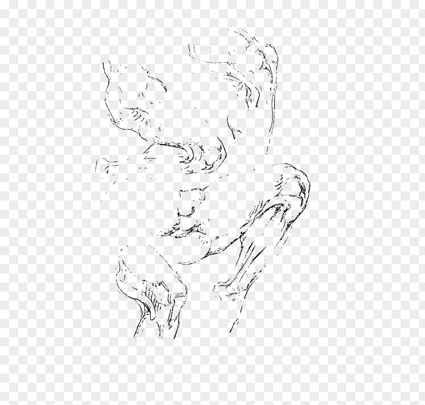 Drawing Line Art Visual Arts Sketch PNG