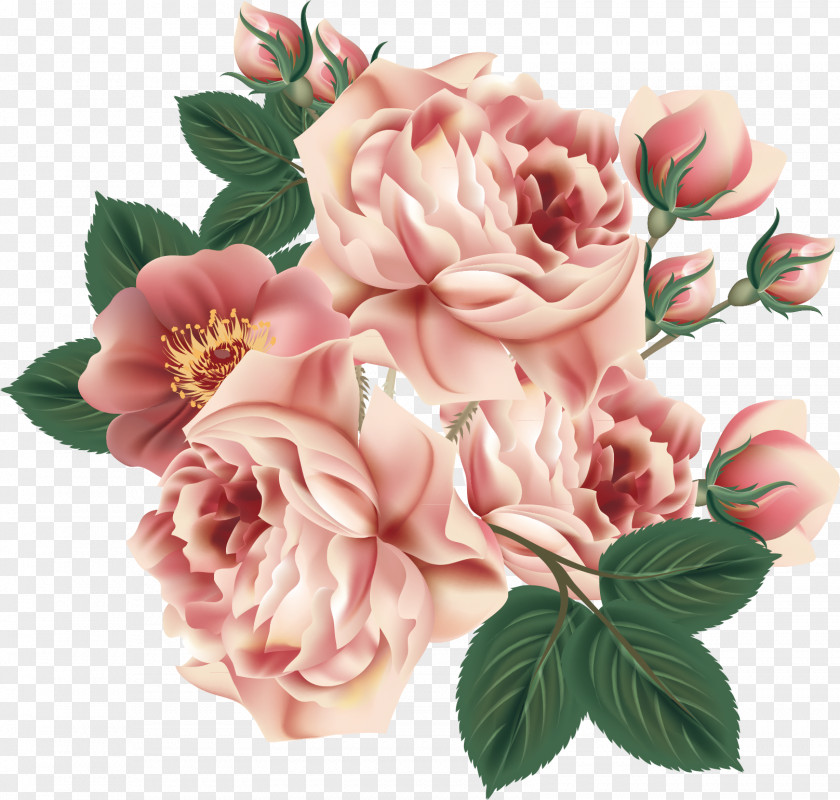 Flower Pattern Elements Centifolia Roses Floral Design Garden PNG