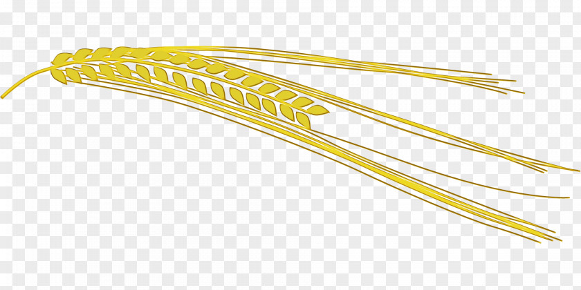 Lacrosse Stick Yellow PNG