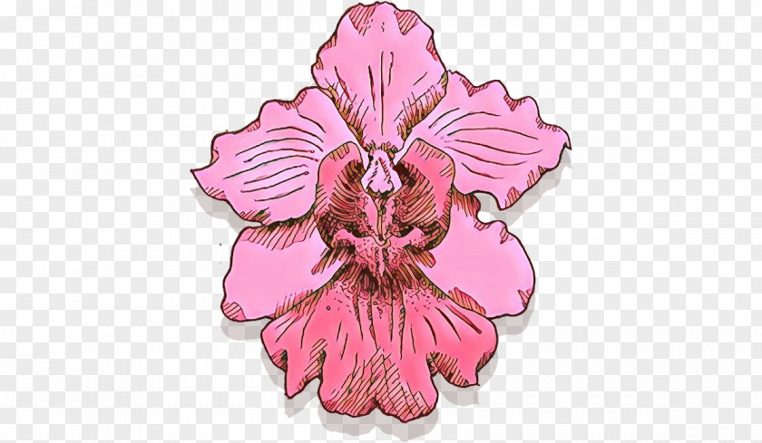 Pink Flower Plant Petal Hibiscus PNG