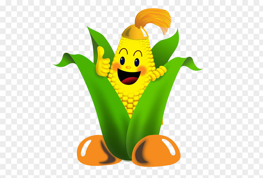 Cauliflower Cartoon Maize Food Image Clip Art PNG