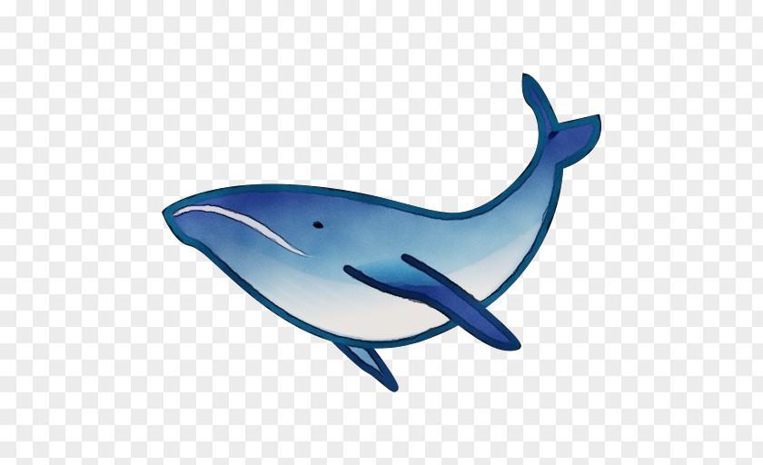Fish Whale Cartoon PNG