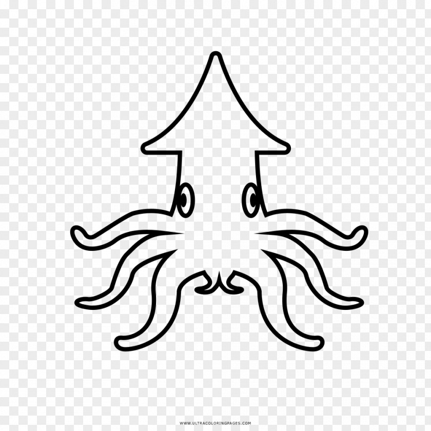 Giant Squid Coloring Book Drawing PNG