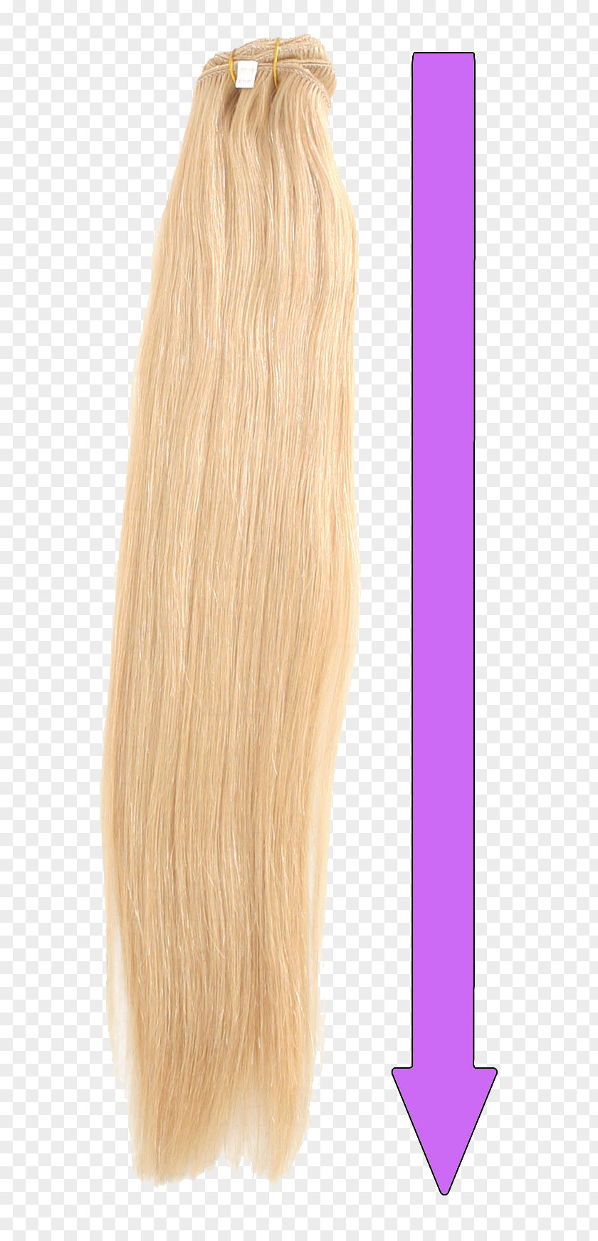 Hair Blond Coloring Brown Long PNG