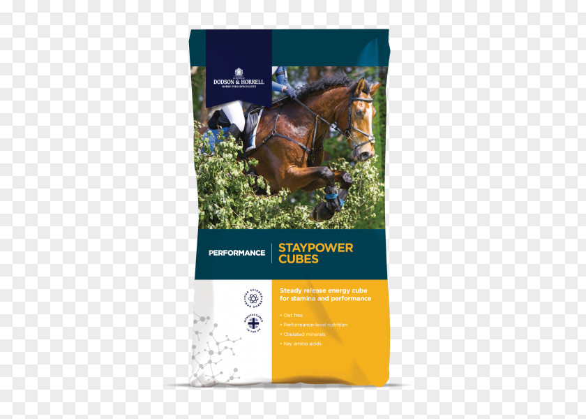 Horse Hound Equine Nutrition Pony Fodder Show Jumping PNG