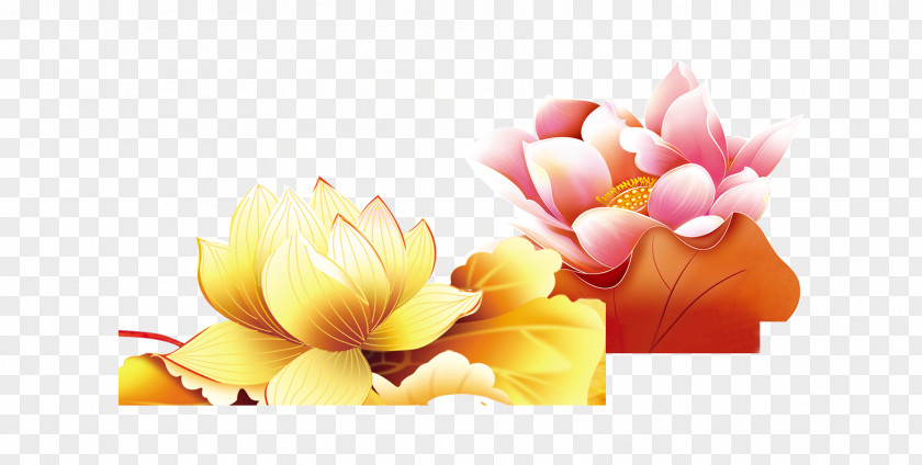 Lotus To Celebrate The Mid-Autumn Festival PNG