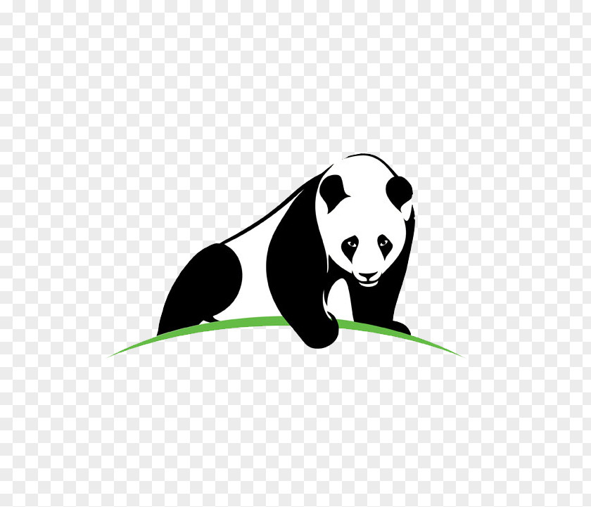 Panda Giant ZooParc De Beauval Bear PNG