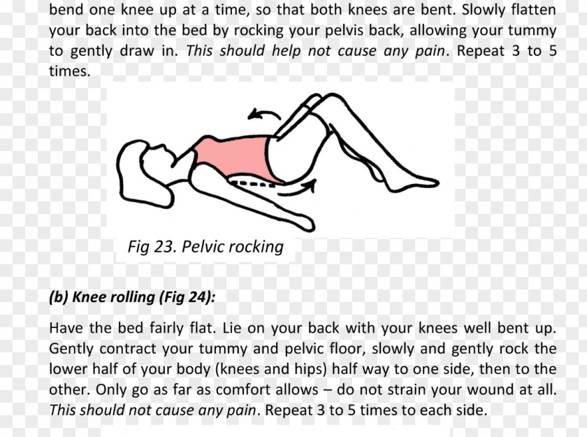 Pelvic Floor Dysfunction Pelvis Urinary Incontinence Physical Therapy PNG
