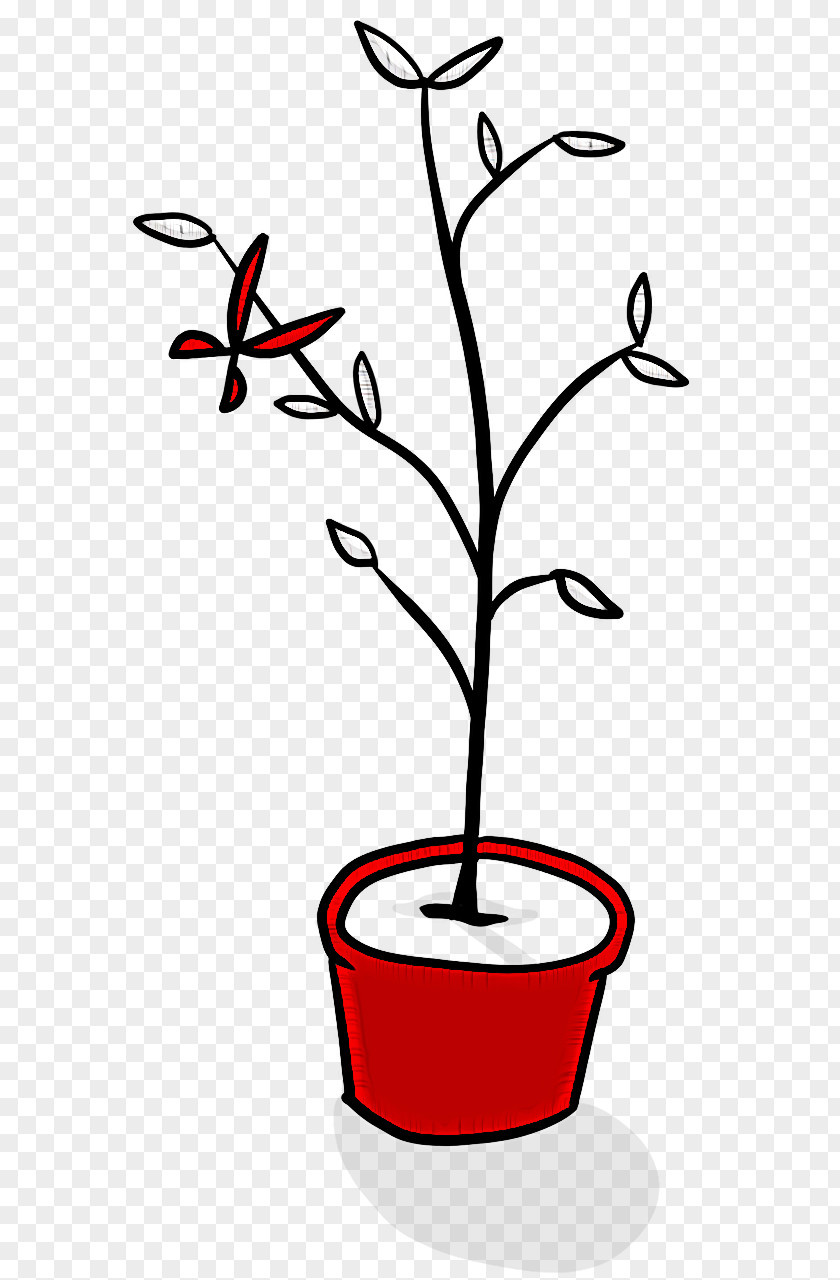 Plant Stem Line Art Flower Tree Flora PNG
