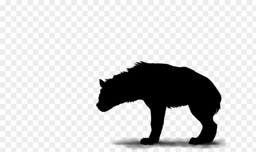 Tail Blackandwhite Cat Silhouette PNG