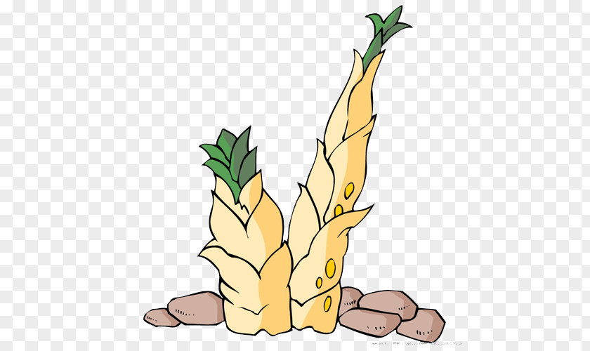 Illustration Bamboo Shoots Shoot Cartoon PNG